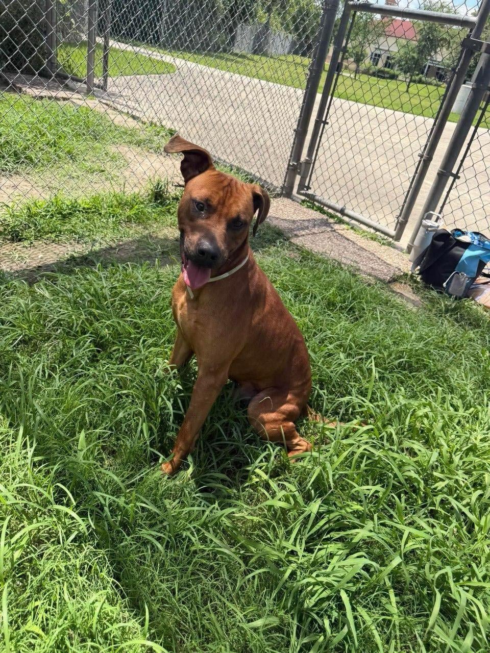 Baxter